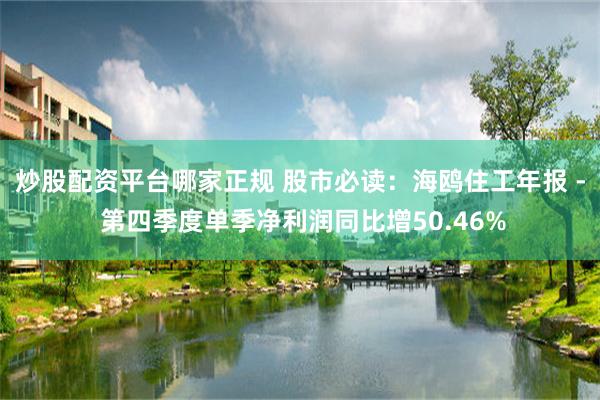 炒股配资平台哪家正规 股市必读：海鸥住工年报 - 第四季度单季净利润同比增50.46%
