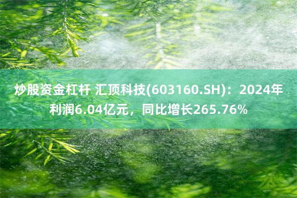 炒股资金杠杆 汇顶科技(603160.SH)：2024年利润6.04亿元，同比增长265.76%