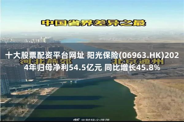 十大股票配资平台网址 阳光保险(06963.HK)2024年归母净利54.5亿元 同比增长45.8%