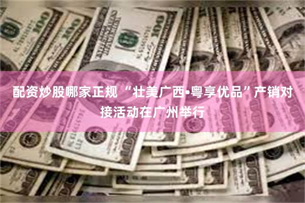 配资炒股哪家正规 “壮美广西•粤享优品”产销对接活动在广州举行