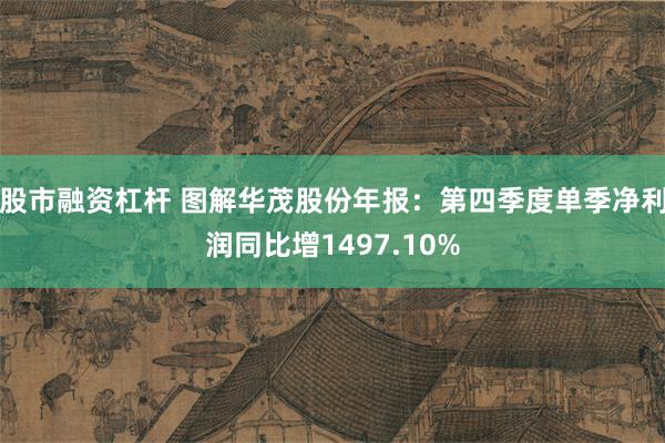 股市融资杠杆 图解华茂股份年报：第四季度单季净利润同比增1497.10%