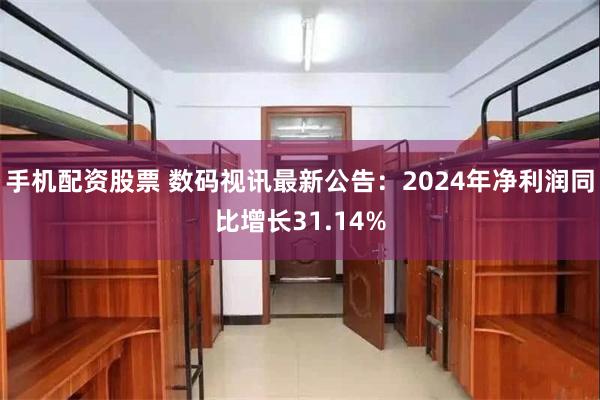 手机配资股票 数码视讯最新公告：2024年净利润同比增长31.14%