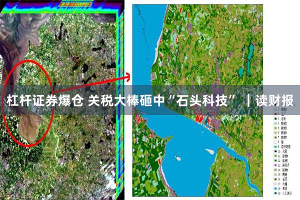 杠杆证券爆仓 关税大棒砸中“石头科技” ｜读财报