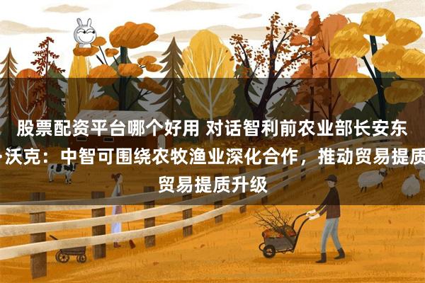股票配资平台哪个好用 对话智利前农业部长安东尼奥·沃克：中智可围绕农牧渔业深化合作，推动贸易提质升级