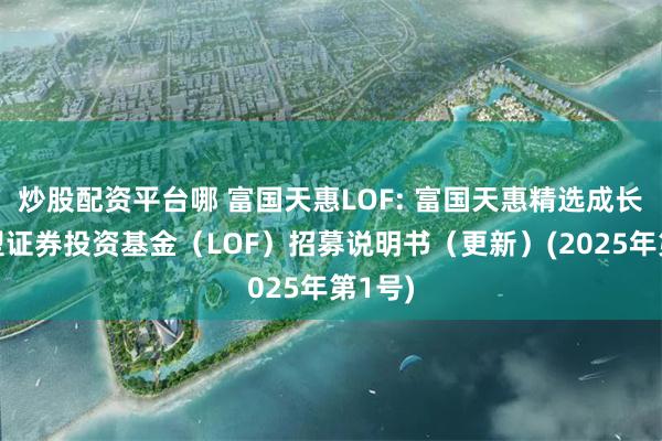 炒股配资平台哪 富国天惠LOF: 富国天惠精选成长混合型证券投资基金(LOF)招募说明书(更新)(2025年第1号)