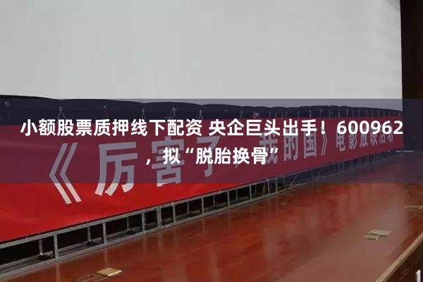 小额股票质押线下配资 央企巨头出手！600962，拟“脱胎换骨”