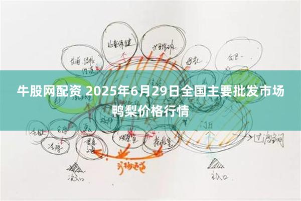 牛股网配资 2025年6月29日全国主要批发市场鸭梨价格行情