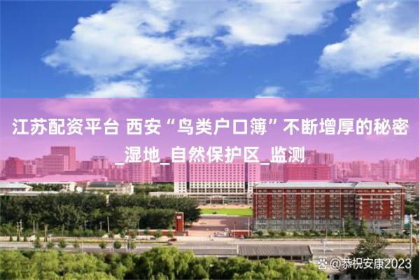 江苏配资平台 西安“鸟类户口簿”不断增厚的秘密_湿地_自然保护区_监测
