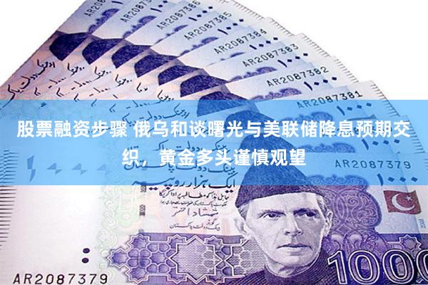 股票融资步骤 俄乌和谈曙光与美联储降息预期交织，黄金多头谨慎观望