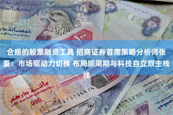 合规的股票融资工具 招商证券首席策略分析师张夏:市场驱动力切换 布局顺周期与科技自立双主线